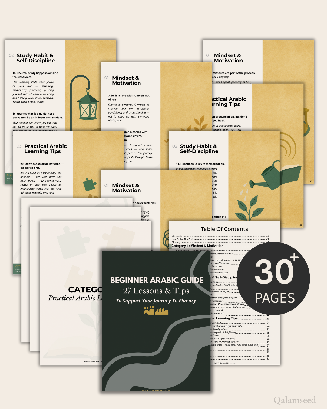 Beginner Arabic Guide (Digital)