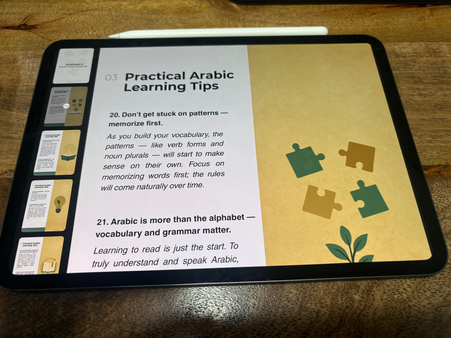 Beginner Arabic Guide (Digital)